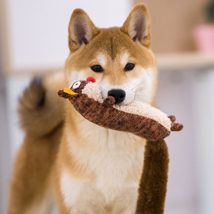 Soothing & Sound-Interactive animal toys – Relaxation for Your Pet