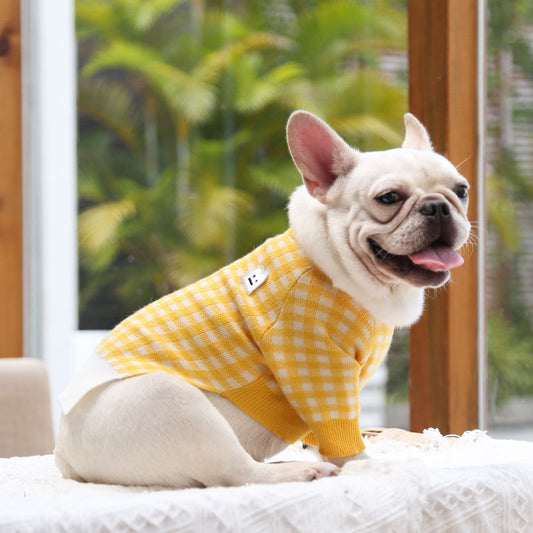 Cozy & Stylish New Pet Clothing – Keep Your Furry Friend Warm