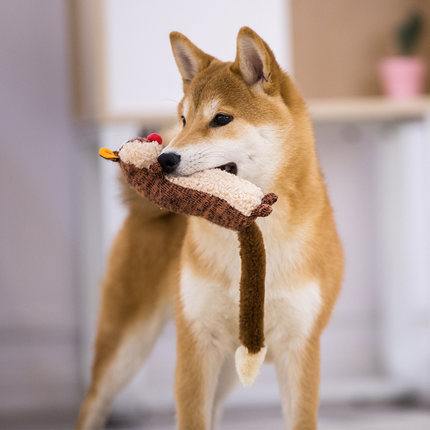 Soothing & Sound-Interactive animal toys – Relaxation for Your Pet